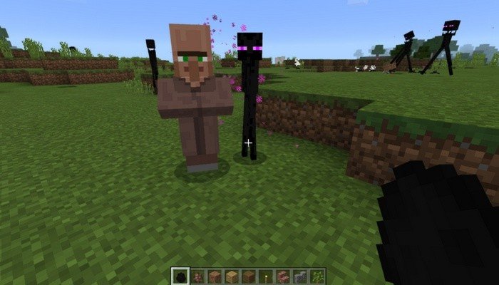 Smaller Enderman