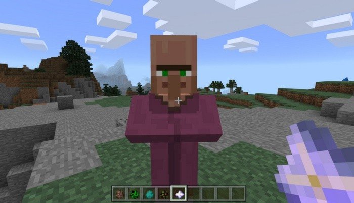 Transform a villager into a wizard  by giving him Nether Star