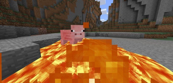 Pig companion in the lava