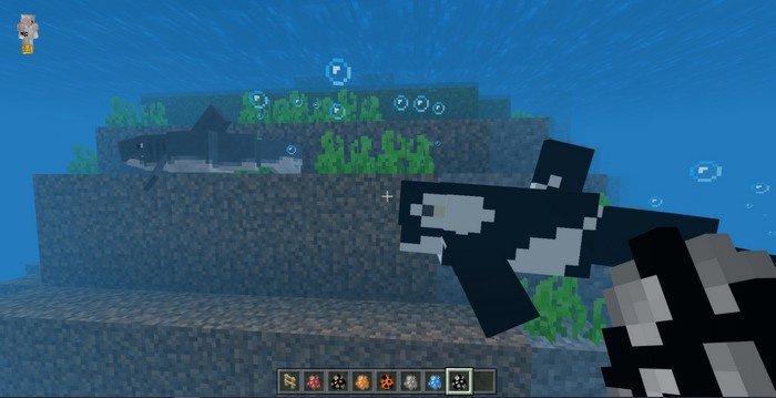 Real life animals addon for Minecraft PE 1.16.40