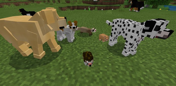 Domestic Pets addon for Minecraft PE 1.16.10