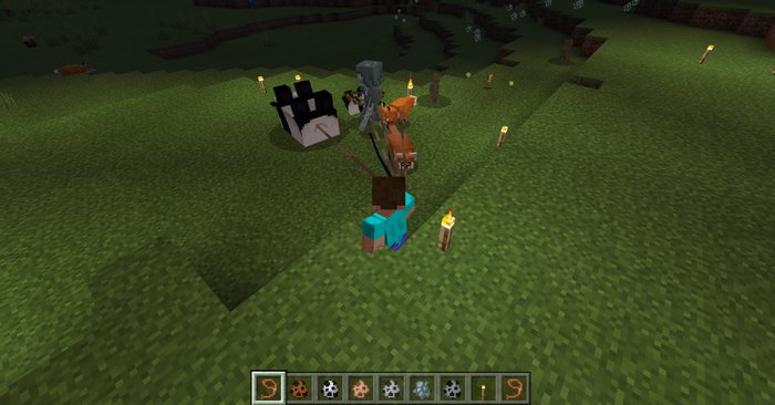 Mobs Leash addon for Minecraft PE 1.16.20